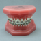 Orthodontic A Hl-60024